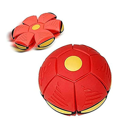 Frisbee Spinner Ball