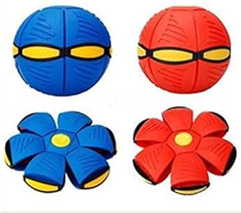 Frisbee Spinner Ball