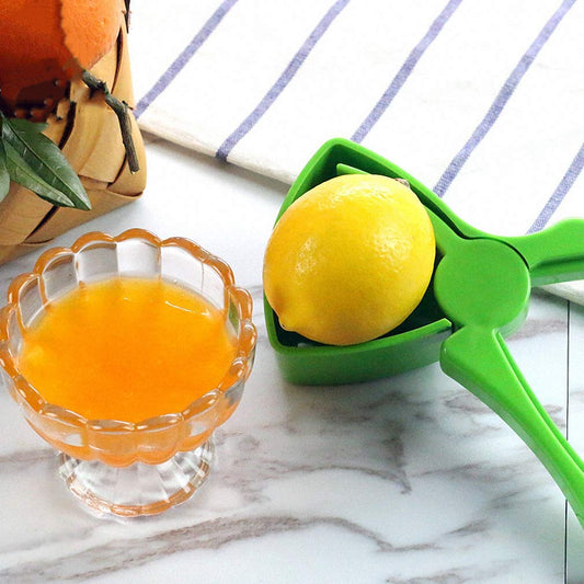 Handheld Juice Extractor