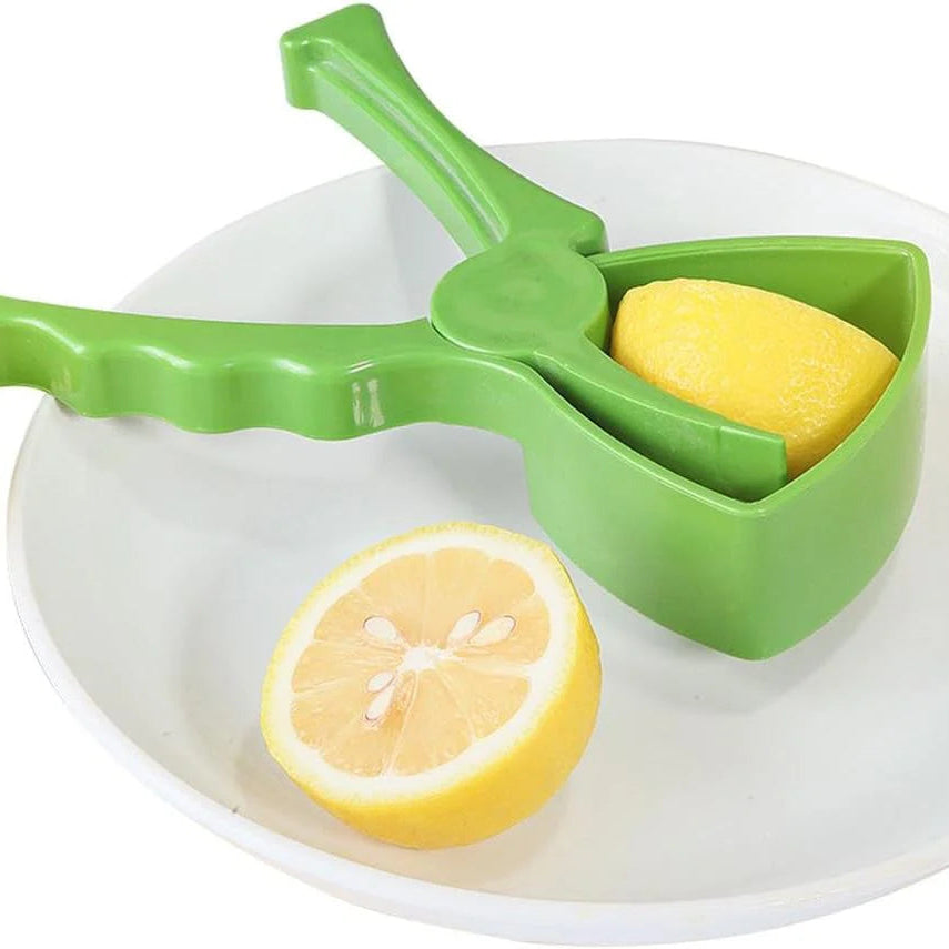 Handheld Juice Extractor